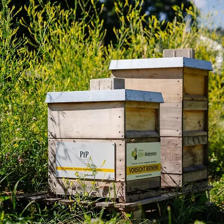 Relax-hotel Pip-margraff ホテル 4*