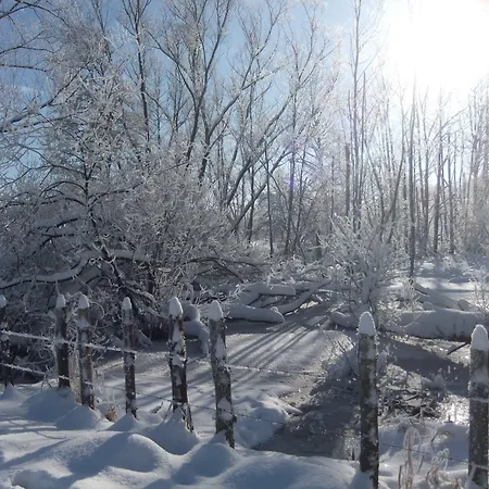 ホテル Relax-hotel Pip-margraff