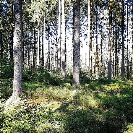 ホテル Relax-hotel Pip-margraff St. Vith