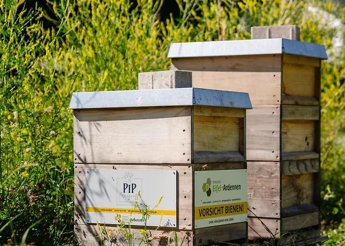 Relax-hotel Pip-margraff Hotel 4*