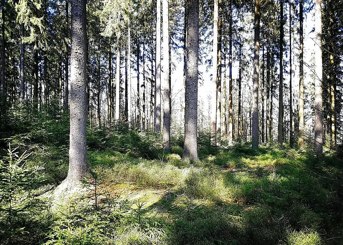 호텔 Relax-hotel Pip-margraff 상트비스